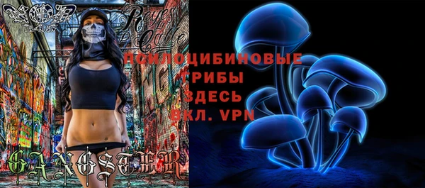ГАЛЛЮЦИНОГЕННЫЕ ГРИБЫ Киренск