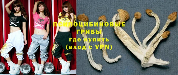 мдма Киреевск