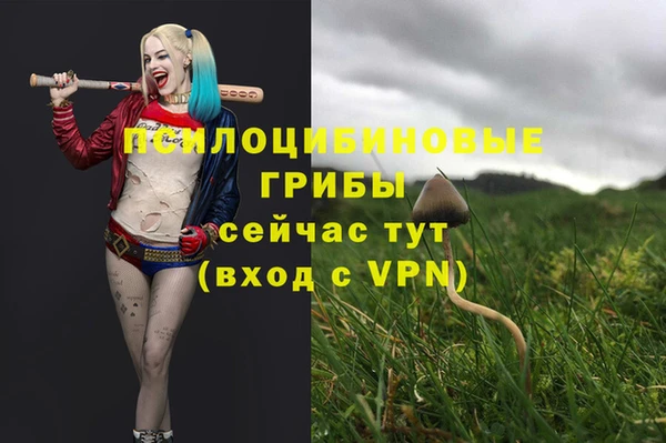 мдма Киреевск