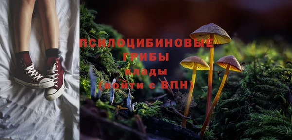 мдма Киреевск