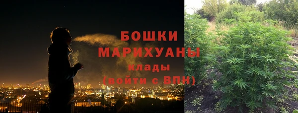 PSILOCYBIN Кинешма