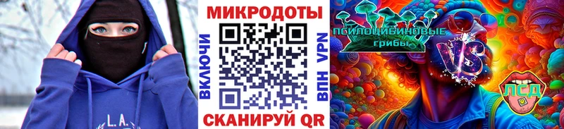 Купить где  Томилино  Псилоцибиновые грибы Psilocybe 