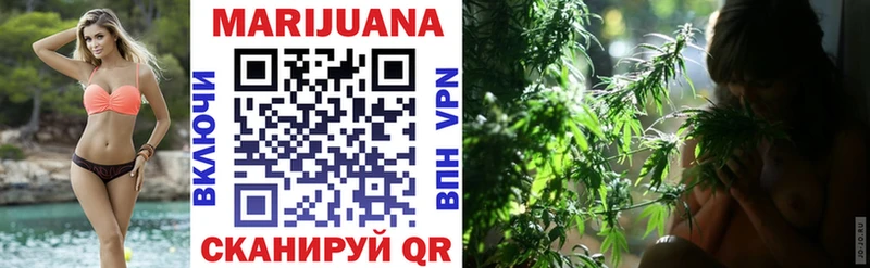 Купить где  Томилино  Шишки марихуана ГИДРОПОН 